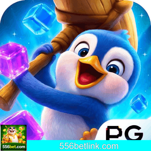 análise apostas 556BET